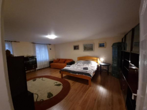 R Castle - 2 room apartment